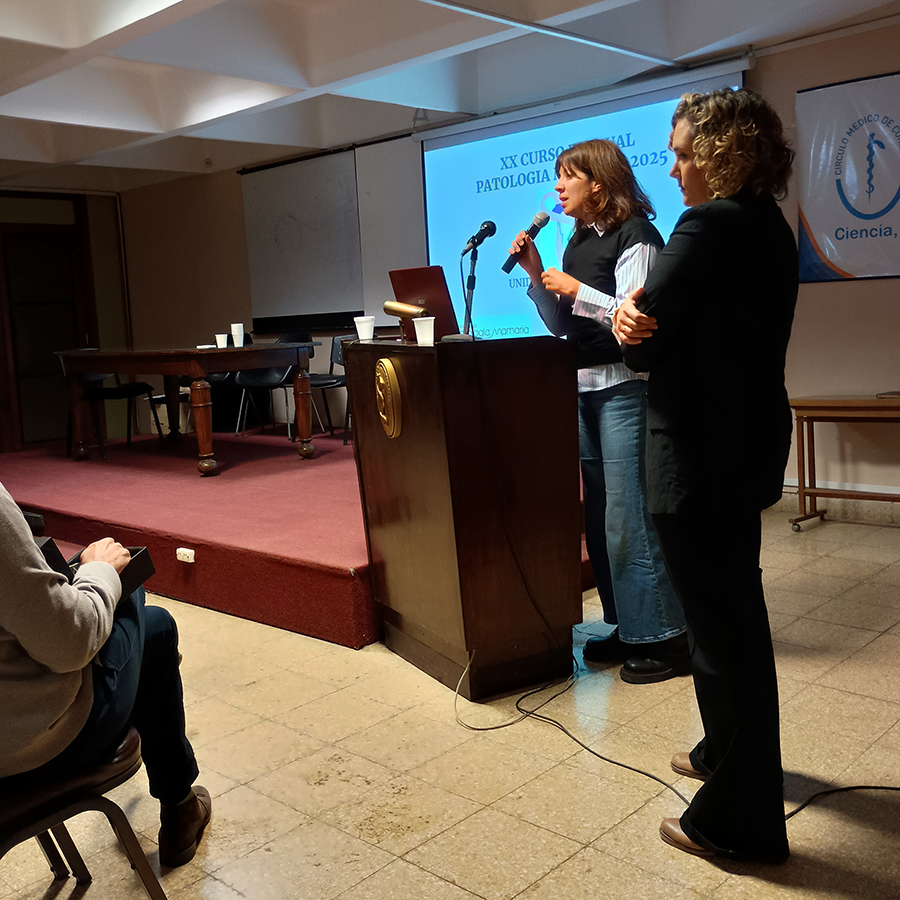 Taller-Integrador-16